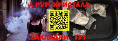 прущие грибы Абакан