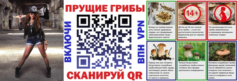 Псилоцибиновые грибы ЛСД Анапа