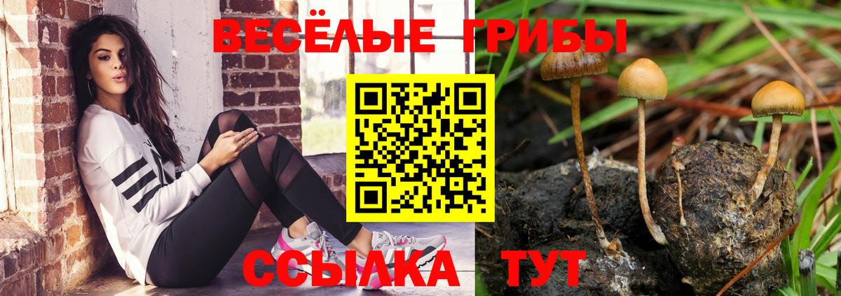 Анапа  Галлюциногенные грибы Cubensis  Вход с VPN 